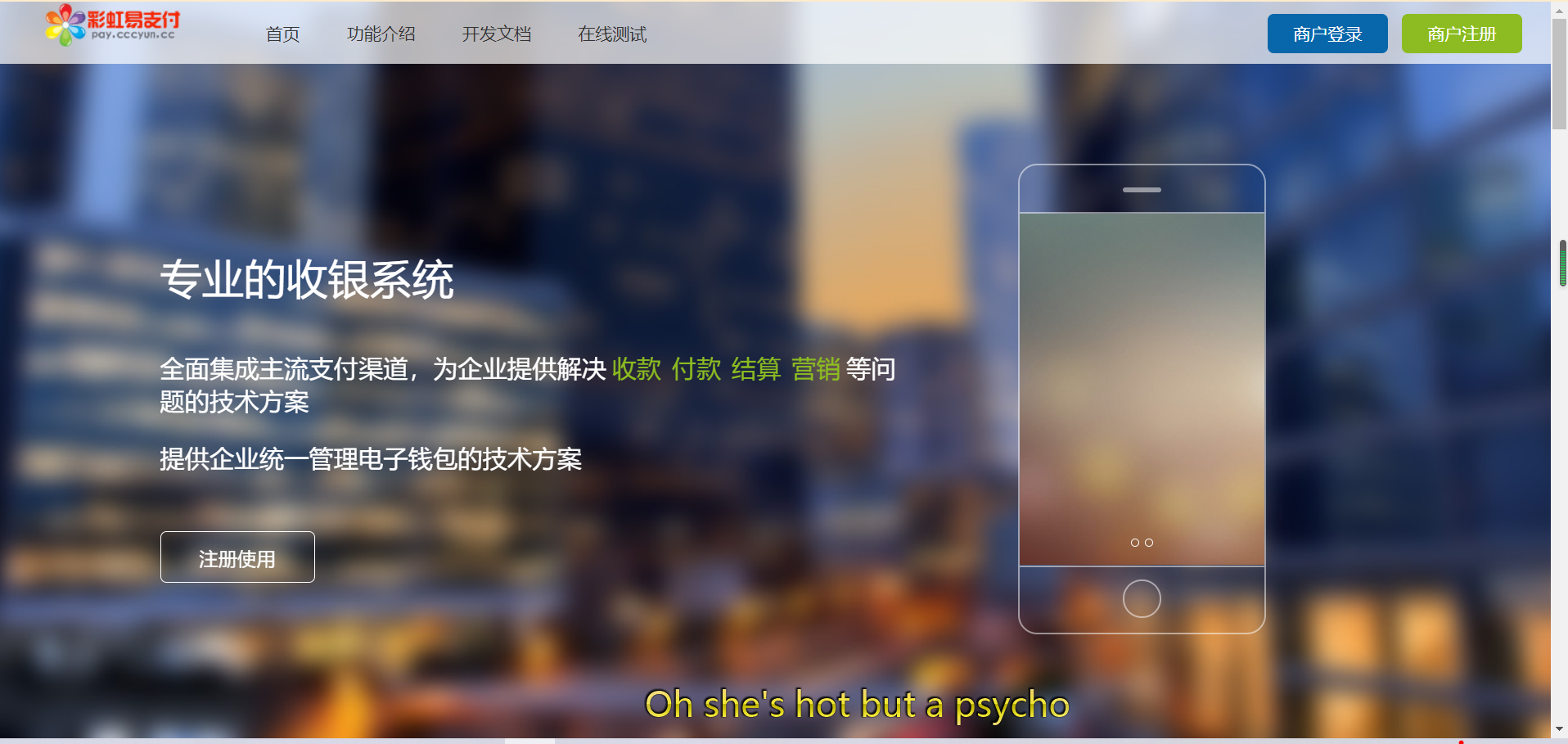 新彩虹易支付/第三方支付/带详细视频教程/支付已接