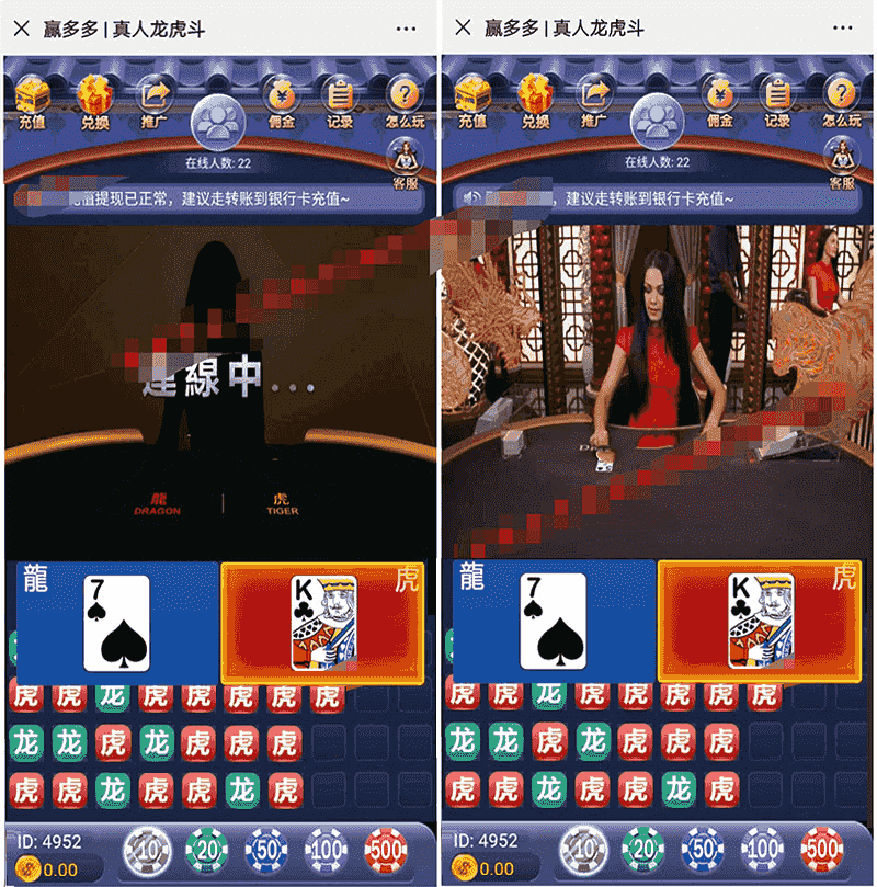 ​H5赢多多真人视讯龙虎斗源码，带完整数据+代理推广+分佣正常